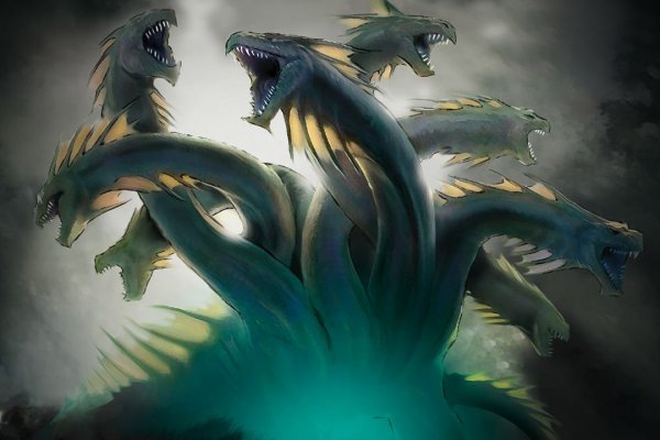 Kraken online
