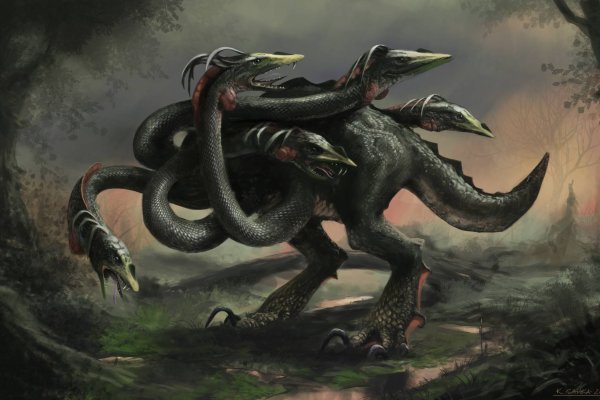 Kraken настоящая ссылка