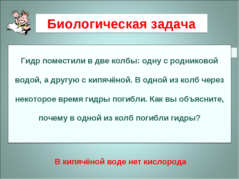 Kra33.cc