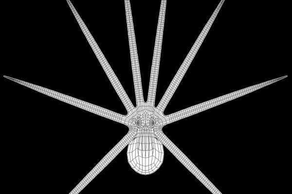 Kraken 5at